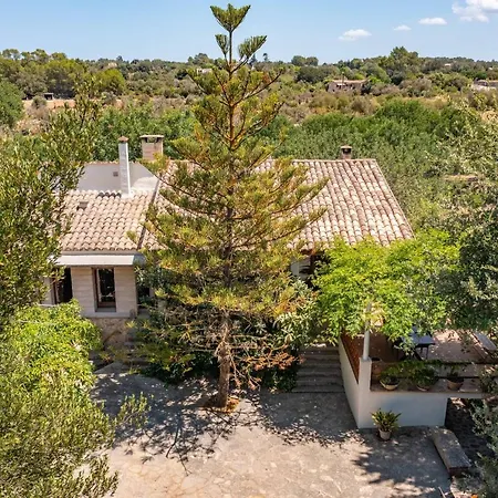 - 39980 Mallorca Sencelles