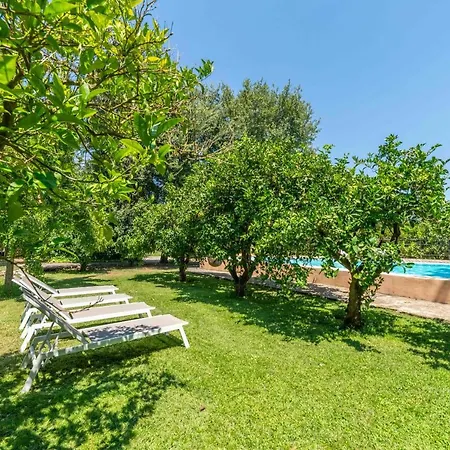 - 39980 Mallorca Sencelles
