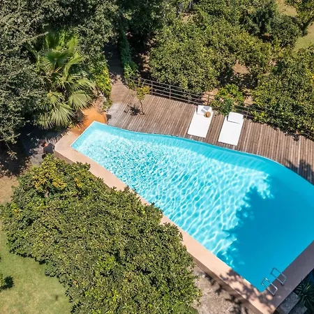 - 39980 Mallorca Holiday home Sencelles
